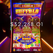 Basketball Betting 8br